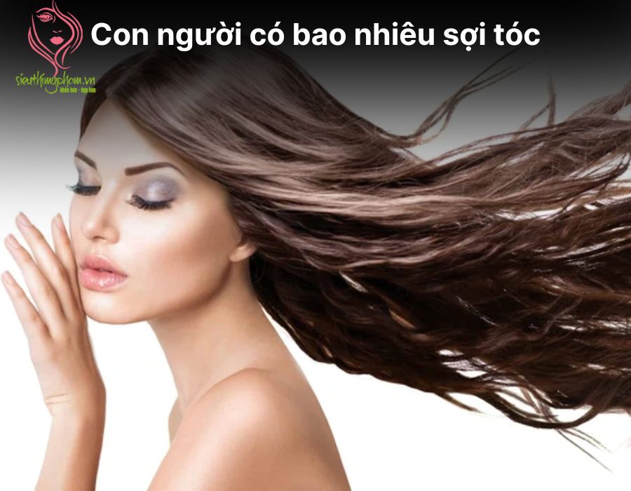 Con người có bao nhiêu sợi tóc trên đầu